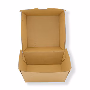 Kraft Burger Box Regular (Small) (250)